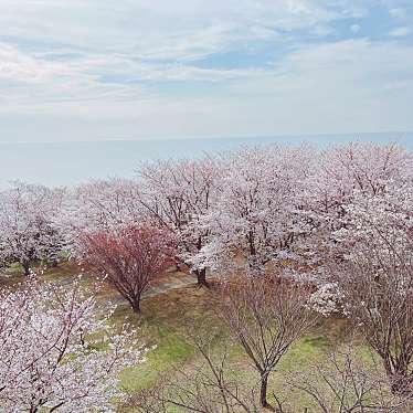 粟嶋公園のundefinedに実際訪問訪問したユーザーunknownさんが新しく投稿した新着口コミの写真