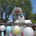 実際訪問したユーザーが直接撮影して投稿した馬場町神社荘内神社の写真