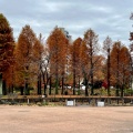 実際訪問したユーザーが直接撮影して投稿した谷中公園しょうぶ沼公園の写真