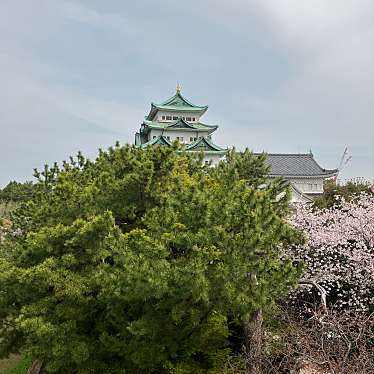 名古屋城 本丸御殿のundefinedに実際訪問訪問したユーザーunknownさんが新しく投稿した新着口コミの写真