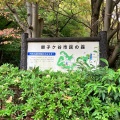 実際訪問したユーザーが直接撮影して投稿した獅子ケ谷公園獅子ケ谷市民の森の写真