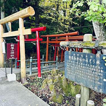 実際訪問したユーザーが直接撮影して投稿した新屋神社新屋山神社の写真