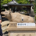 実際訪問したユーザーが直接撮影して投稿した莵道寺三室戸寺の写真