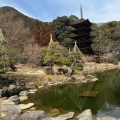 実際訪問したユーザーが直接撮影して投稿した香山町公園香山公園の写真