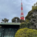 実際訪問したユーザーが直接撮影して投稿した芝公園歴史 / 遺跡徳川将軍家墓所の写真