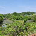 実際訪問したユーザーが直接撮影して投稿した平和公園公園平和公園の写真