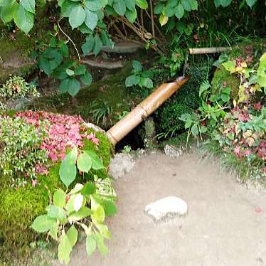 ぽんぽこ2さんが投稿した一乗寺門口町寺のお店詩仙堂 丈山寺/シセンドウ ジョウザンジの写真