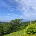 実際訪問したユーザーが直接撮影して投稿した平川町公園錦江湾公園の写真