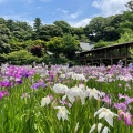 実際訪問したユーザーが直接撮影して投稿した平賀寺本土寺の写真