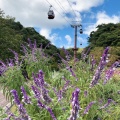 実際訪問したユーザーが直接撮影して投稿したカフェ風の丘オープンカフェの写真