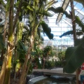 実際訪問したユーザーが直接撮影して投稿した原市植物園 / 樹木園碓氷川熱帯植物園の写真