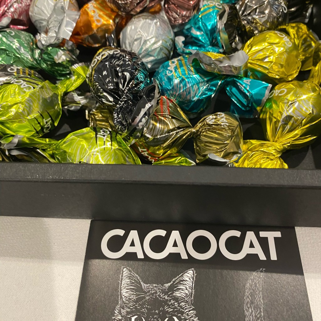 実際訪問したユーザーが直接撮影して投稿した道場門前チョコレートCACAOCAT チョコレート専門店の写真