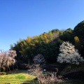 実際訪問したユーザーが直接撮影して投稿した鶴牧公園鶴牧西公園の写真