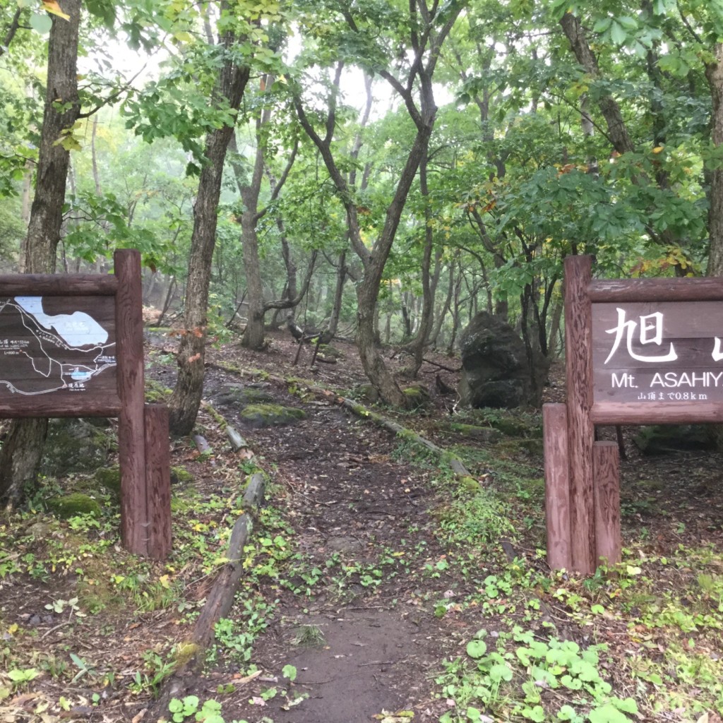 実際訪問したユーザーが直接撮影して投稿した山 / 峠旭山の写真