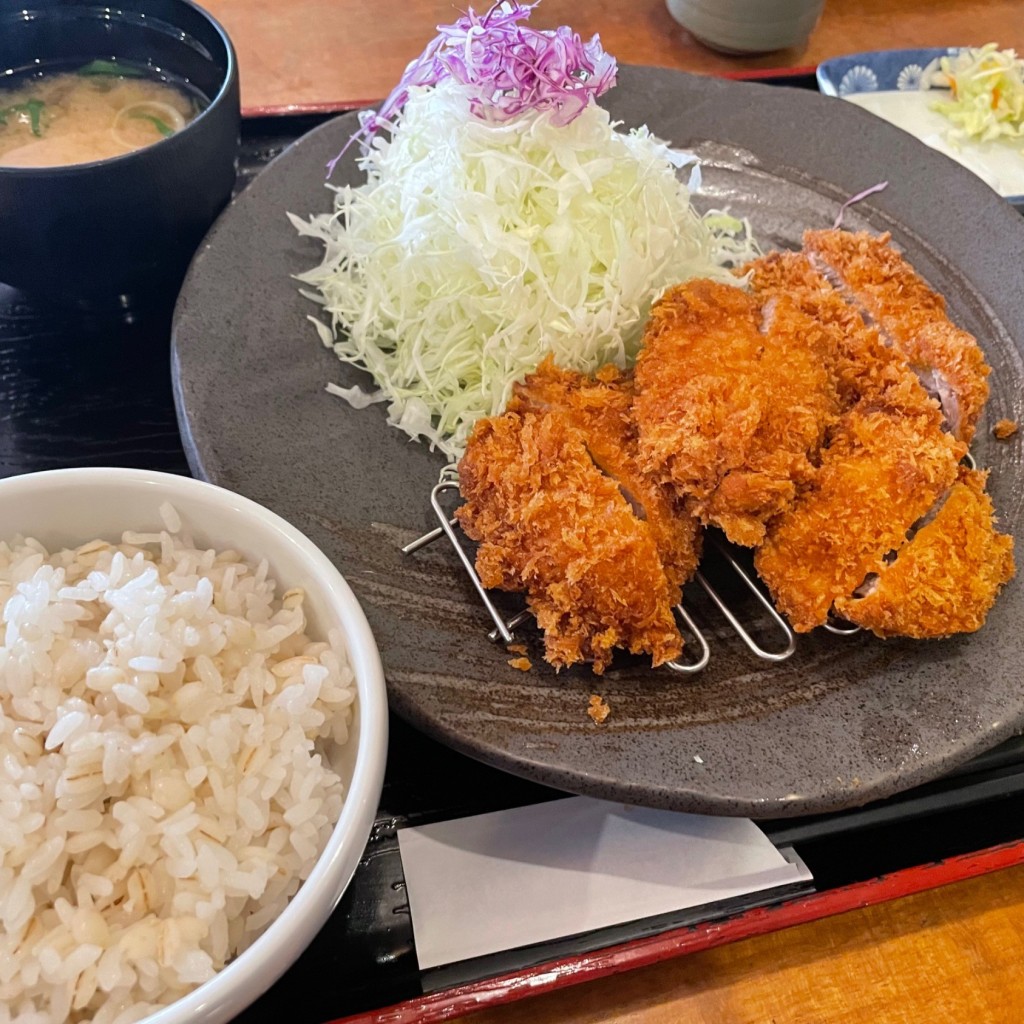 ユーザーが投稿した平日・ひれかつ定食の写真 - 実際訪問したユーザーが直接撮影して投稿した久米窪田町とんかつ有限会社かつれつ亭 久米窪田店の写真