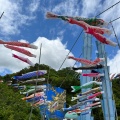 実際訪問したユーザーが直接撮影して投稿した天下野町橋竜神大吊橋の写真