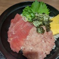 まぐろとねぎとろ丼 - 実際訪問したユーザーが直接撮影して投稿した飯間魚介 / 海鮮料理海鮮丼 家族庵 静岡SA下り線店の写真のメニュー情報