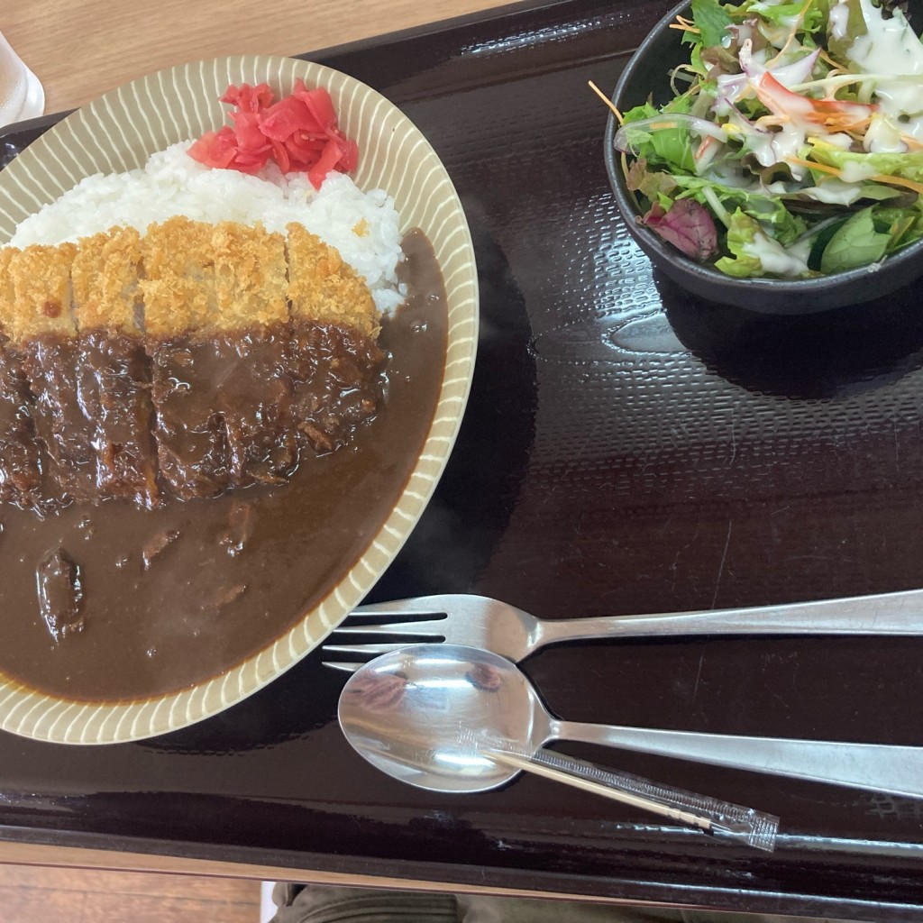 ユーザーが投稿したカツカレーの写真 - 実際訪問したユーザーが直接撮影して投稿した東与賀町大字田中定食屋ひびの食堂の写真