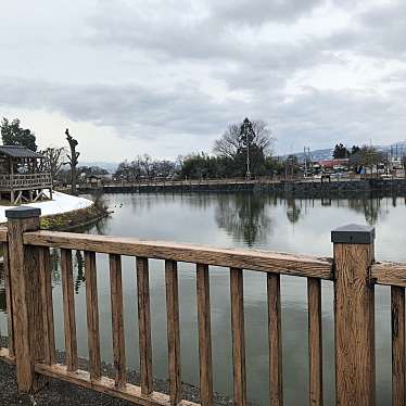 実際訪問したユーザーが直接撮影して投稿した本丸北公園龍興寺沼公園の写真