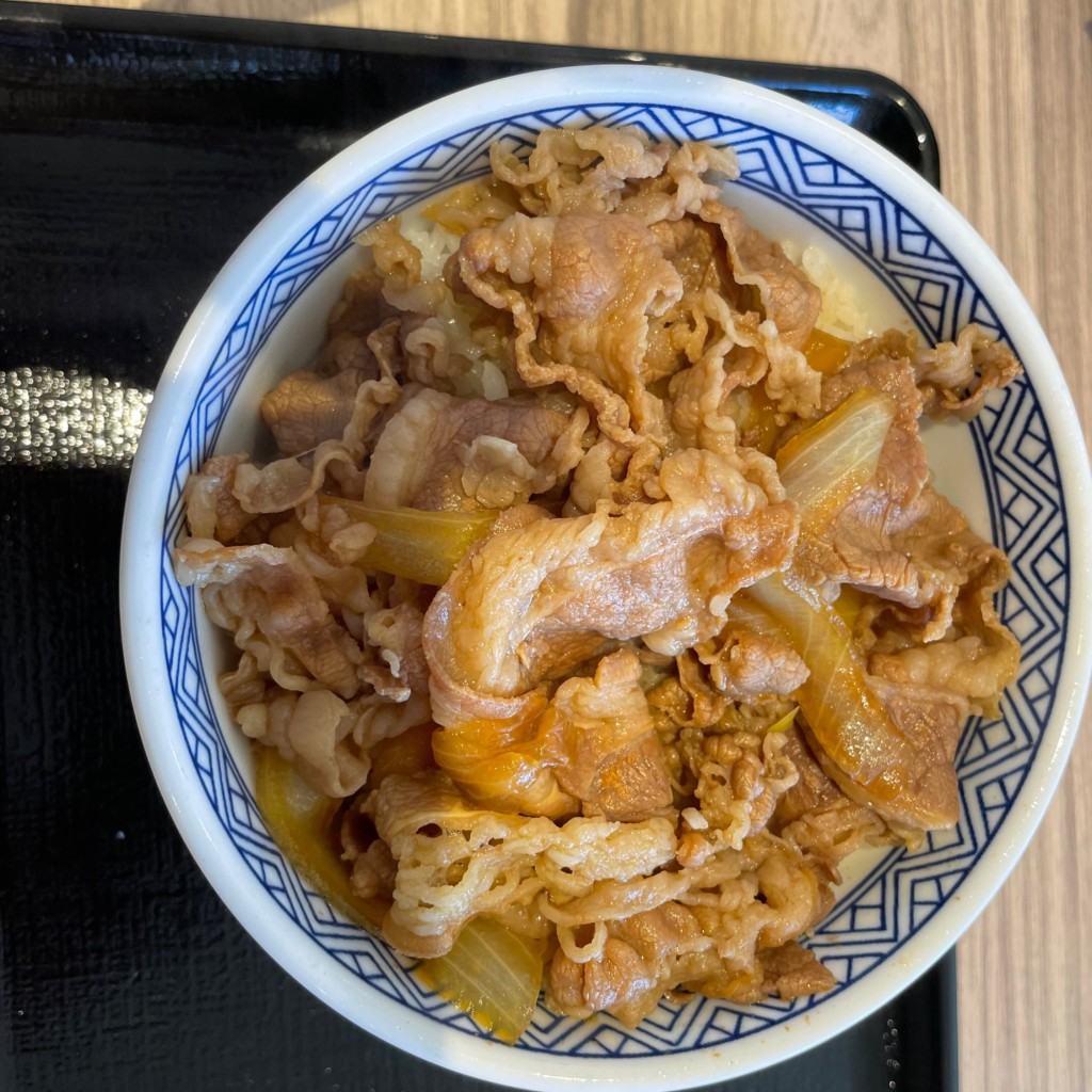 ユーザーが投稿した牛丼並盛の写真 - 実際訪問したユーザーが直接撮影して投稿した澤牛丼吉野家 臨海二色の浜店の写真