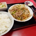 肉野菜炒め定食 - 実際訪問したユーザーが直接撮影して投稿した入間町中華料理龍亭の写真のメニュー情報