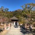 実際訪問したユーザーが直接撮影して投稿した内郷白水町寺白水阿弥陀堂の写真