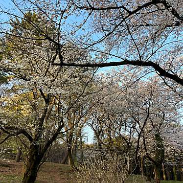 代々木公園のundefinedに実際訪問訪問したユーザーunknownさんが新しく投稿した新着口コミの写真