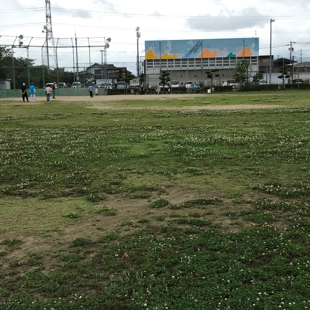 実際訪問したユーザーが直接撮影して投稿した田園公園田園中央公園の写真