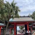 実際訪問したユーザーが直接撮影して投稿した青島神社青島神社の写真