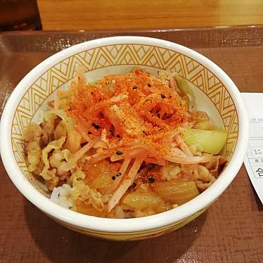 実際訪問したユーザーが直接撮影して投稿した新横浜牛丼すき家 新横浜店の写真
