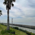 実際訪問したユーザーが直接撮影して投稿した平磯公園平磯海づり公園の写真