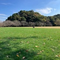 実際訪問したユーザーが直接撮影して投稿した中山町公園鹿児島ふれあいスポーツランドの写真