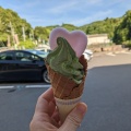 新茶ソフトクリーム - 実際訪問したユーザーが直接撮影して投稿した湯屋谷カフェ高田通泉園の写真のメニュー情報