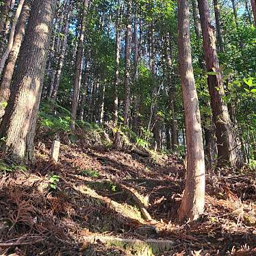 実際訪問したユーザーが直接撮影して投稿した紀和町湯ノ口公園夕陽の丘公園の写真