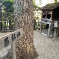 実際訪問したユーザーが直接撮影して投稿した茶臼山町神社黒龍社の写真