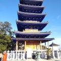 実際訪問したユーザーが直接撮影して投稿した中山寺寺中山寺の写真