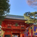 実際訪問したユーザーが直接撮影して投稿した西早稲田神社光松門の写真