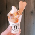塩キャラメルフロート - 実際訪問したユーザーが直接撮影して投稿した小淵沢町アイスクリーム9ソフトクリームの写真のメニュー情報