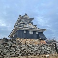 実際訪問したユーザーが直接撮影して投稿した元城町公園浜松城天守閣の写真