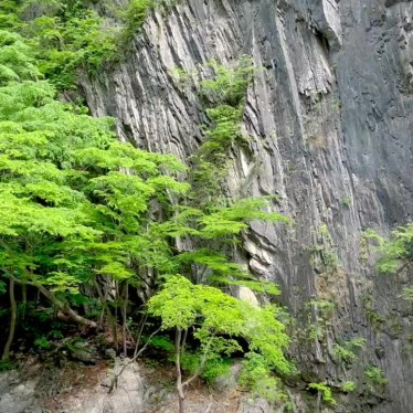 実際訪問したユーザーが直接撮影して投稿した大川目町河川久慈渓流の写真