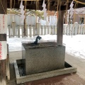 実際訪問したユーザーが直接撮影して投稿した南二条東神社北海道神宮 頓宮の写真