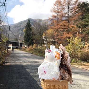 実際訪問したユーザーが直接撮影して投稿した常盤アイスクリームジェラートショップ 花彩の写真