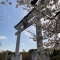 実際訪問したユーザーが直接撮影して投稿した天神神社長岡天満宮の写真