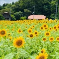 実際訪問したユーザーが直接撮影して投稿した位田町観光牧場綾部ふれあい牧場の写真