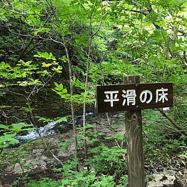 ミルクティーとキャラメル珈琲さんが投稿したのお店あだたら渓谷 奥岳自然遊歩道 平滑の橋 ( 平滑の床 )/アダタラケイコク オクダケシゼンユウホドウ ヘイカツノハシの写真