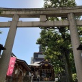 実際訪問したユーザーが直接撮影して投稿した下目黒神社大鳥神社の写真