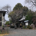 実際訪問したユーザーが直接撮影して投稿した深溝町寺江西寺 (祈願だるま寺)の写真