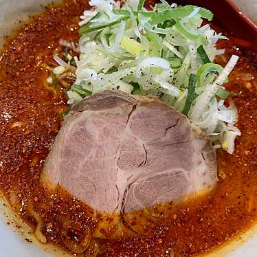 実際訪問したユーザーが直接撮影して投稿した南四条東ラーメン / つけ麺麺屋 海嵐の写真