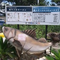 実際訪問したユーザーが直接撮影して投稿した千石河岸ラーメン専門店平塚漁港の工房の写真