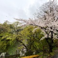 実際訪問したユーザーが直接撮影して投稿した康生町公園岡崎公園の写真